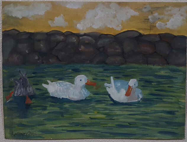 "Duck, Duck, Grey Duck" Watercolor on Paper