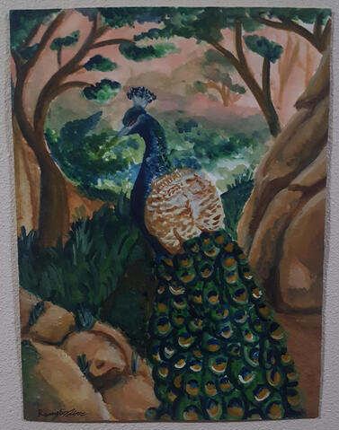 "Peacock" - Watercolor on Paper